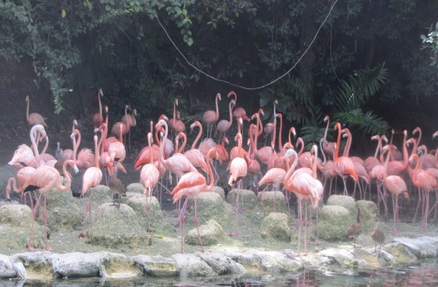 Parc Zoologique National Republique Dominicaine